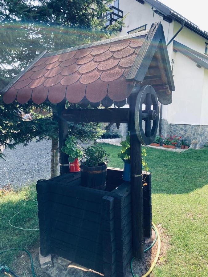 Pensiunea Casa Ady Bran  Exterior foto