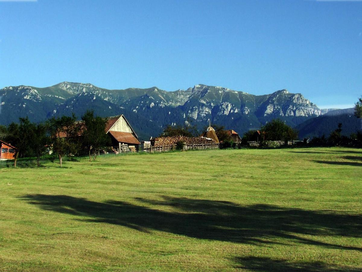 Pensiunea Casa Ady Bran  Exterior foto